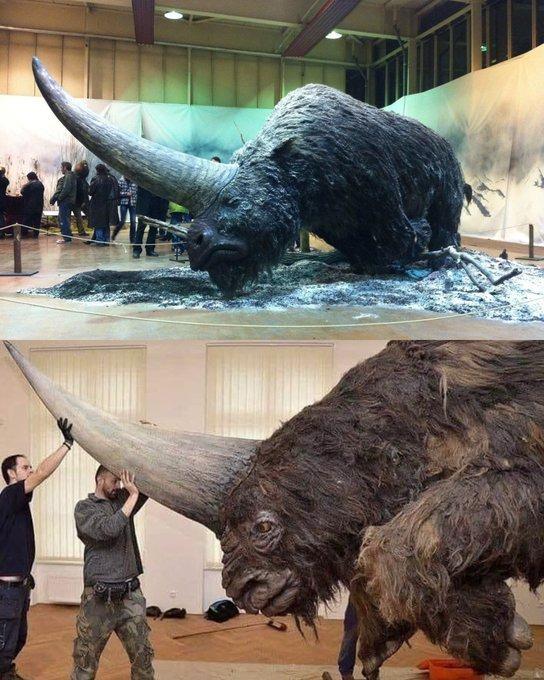 <p>Sibirya Tekboynuzu olarak da bilinen Elasmotherium'un bir rekonstrüksiyonu.</p>
<p>Bir zamanlar Doğu Avrupa, Orta Asya ve Doğu Asya'da dolaşan bu büyük gergedan cinsinin soyu yaklaşık 39.000 yıl önce tükenmiştir.</p>