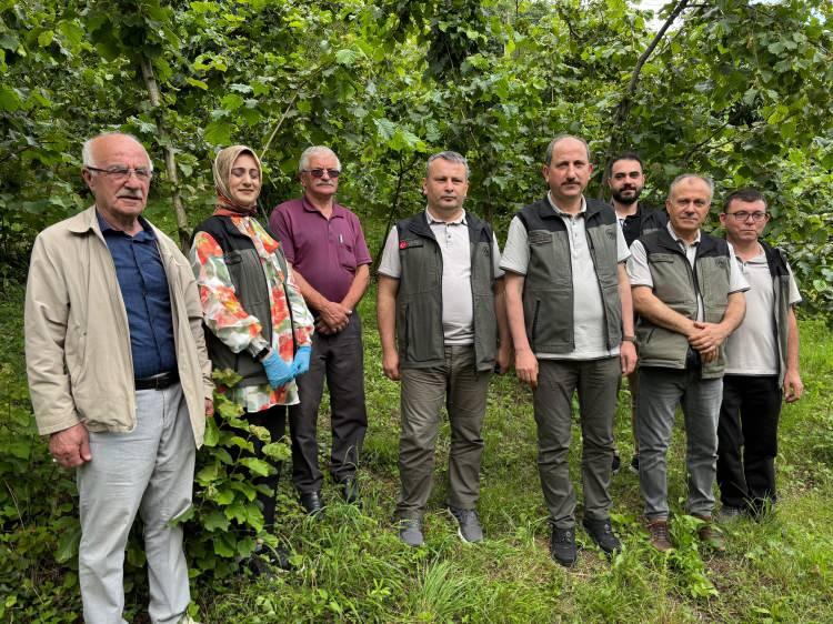 <p>Trabzon Orman Bölge Müdürlüğü bünyesindeki Orman Zararlılarıyla Mücadele Laboratuvarında yapılan çalışmalar sonucunda <strong>ilk etapta binlerce samuray arısı üretildi.</strong></p>