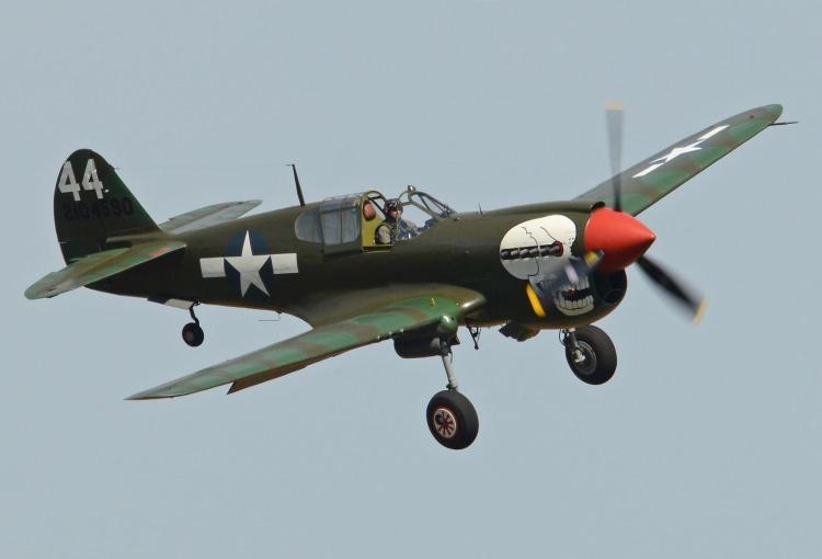 <p><strong><span style="color:#B22222">CURTISS P-40 WARHAWK  -  ABD</span>  |  13.738</strong></p>
