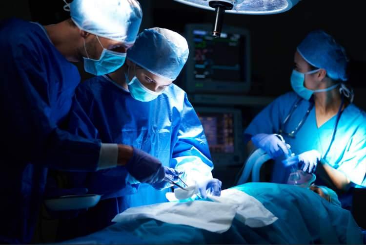 <p><span style="color:#800000"><strong>NAKİLDEN İKİ AY SONRA RAHATSIZLANDI</strong></span></p>

<p><span style="color:#000000">Massachusetts Gen<strong>​</strong>eral Hospital’da (MassGen) böbrek nakli yapılan 61 yaşındaki bir hasta ameliyatın üzerinden iki ay geçtikten sonra rahatsızlanarak hastaneye başvurdu.</span></p>

<p> </p>

