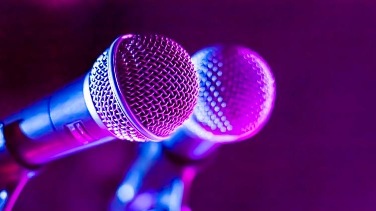 <p><span style="color:#800080"><strong>KONSER ZENGİNİ ŞARKICILAR</strong></span></p>