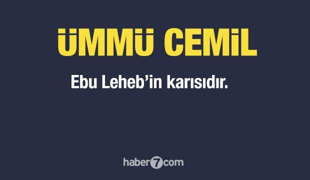 <p><span style="color:#B22222"><strong>8) ÜMMÜ CEMİL (ARVÂ BİNT HARB)</strong></span></p>
<p> </p>
<p><strong>Ebu Leheb’in karısıdır.</strong></p>
<p> </p>
<p>Peygamberimize düşmanlıkta kocasıyla birlik olmuş, kapısına diken ve pislik dökmüştür.</p>