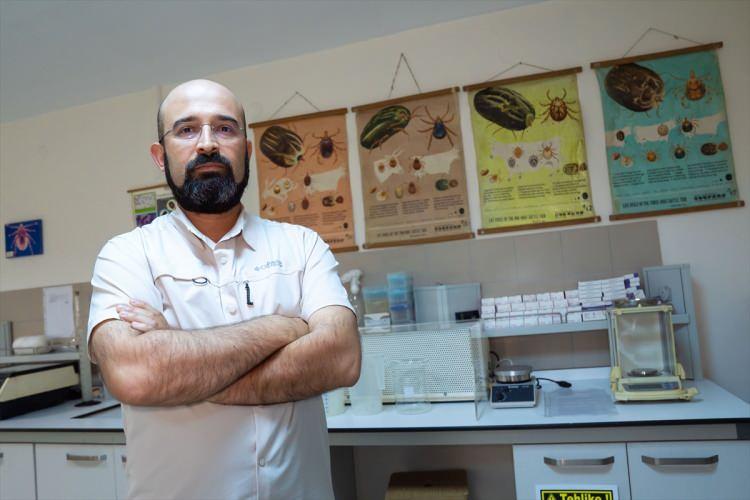 <p>Ankara Üniversitesi Veteriner Fakültesi Parazitoloji Anabilim Dalı Öğretim Üyesi, Keneler ve Kene Kaynaklı Hastalıklar Araştırma Laboratuvarı Sorumlusu Prof. Dr. Ömer Orkun, Türkiye'de kenelerin hangi bölgelerde görüldüğüne ilişkin açıklama yaptı. </p>
<p>Buna göre; Orkun,<strong><em> "Kırım Kongo Kanamalı Ateşi virüsünün ana vektörü Hyalomma marginatum veya sekonder vektörler metropoliten bölgelerde, büyükşehirlerin park ve bahçelerinde bulunmaz."</em></strong> dedi.</p>