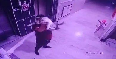 <p>Konya’da kendisinin de ikamet ettiği apartmanın sakinlerince beslenen hamile kediyi alıp güvenlik kamerasına gösterdikten sonra yere fırlatan Ahmet Ş. (26), gözaltına alındı.</p>
<p> </p>