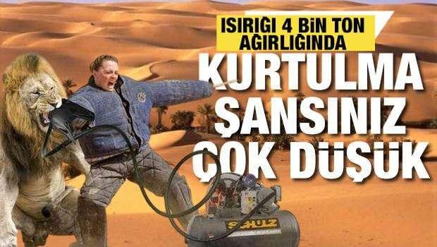 <p><strong><span style="color:#B22222">EN GÜÇLÜ ISIRMA GÜCÜNE SAHİP HAYVAN AÇIKLANDI</span></strong></p>
<p> </p>