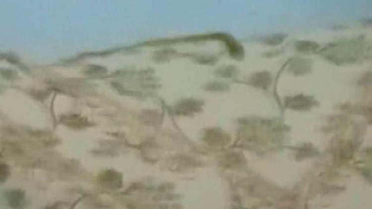 <p>Ev sahibi Tahir Erci, "Evimizde şu ana kadar birçok yılan çıkarttık. Geceleri damdan giren yılanlar bazen çocuklarımızın rüyasına giriyor. 15 yıldır bu korkuyu yaşıyoruz. Çocuklarım gündüzleri yılan korkusundan eve giremiyor. Bu kabustan kurtulmak için evimin yanında yeni bir evin temelini attım." dedi.</p>
<p> </p>
