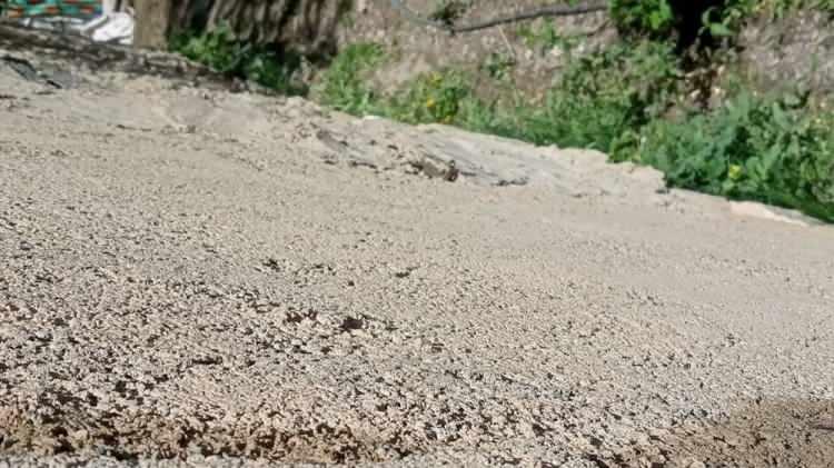 <p> "ÜÇ KEZ DÜŞÜK YAPTIM"</p>
<p> </p>
<p> </p>
<p>15 yıldır tek katlı kerpiç evde yaşadıklarını belirten iki çocuk annesi Latife Erci ise şunları söyledi:</p>
<p> </p>
<p>“Evimizin her yerinde yılanlar çıkıyor. Yılanlar artık bizim kabusumuz oldu.</p>
<p> </p>
<p>Yılan korkusundan dolayı üç kez düşük yaptım.</p>
<p> </p>
<p>Yılanlar genelde nisan, mayıs ve haziran aylarında çıkıyor."</p>
<p> </p>
