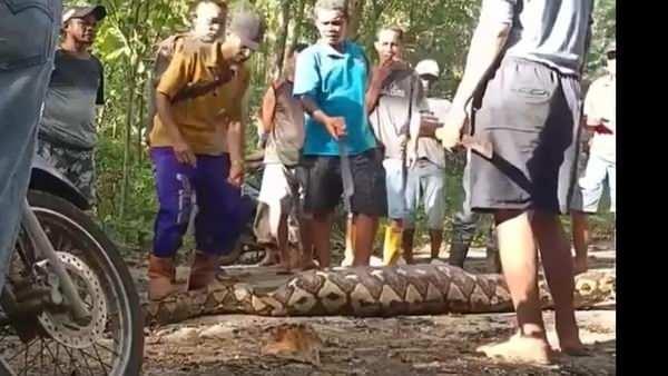 <p>Endonezya’nın Sulawesi bölgesinde tüyler ürpertici bir olay yaşandı.</p>