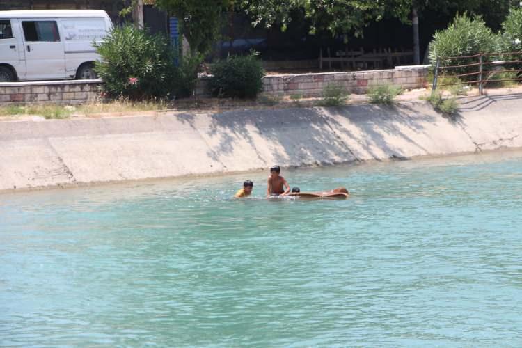<p>Çocukların sözde eğlencesi, görenlerin tepkisini çekti. </p>