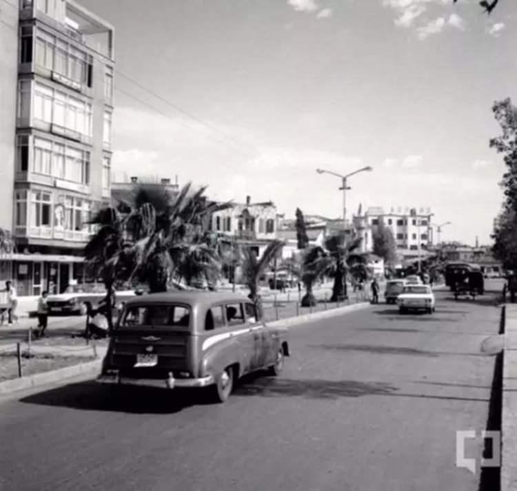 <p>Adana</p>

