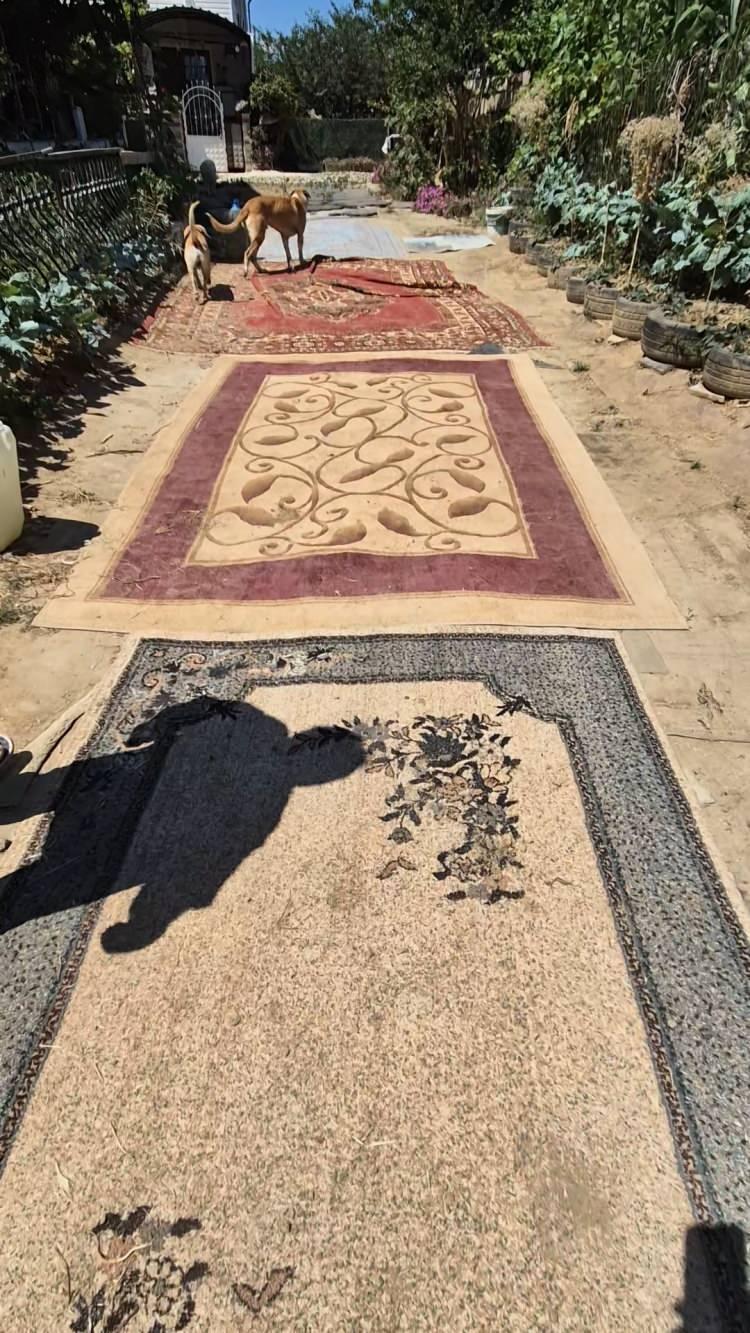 <p>Vatandaşlar çözüm bulunmama durumduna, halıdan sonra taş dizmeyi bile düşündüklerini kaydetti. </p>