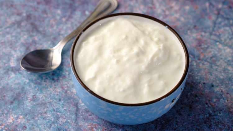 <p>Avrupa'da bizim bildiğimiz şekildeki yoğurdun 'Greek yoghurt' (Yunan yoğurdu) olarak satılması, baklavayı sahiplenmeleri, iki millet arasında sık sık tartışma konusu oluyor.</p>