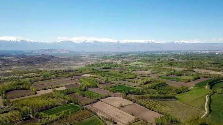 <p><strong>AÇIK ARTIRMA HANGİ İLLER İÇİN YAPILACAK?</strong><br />
 </p>

<p> </p>

<p>Muhammen bedeli 15 milyar 725 milyon 393 bin 405 lira olan toplam 3 milyon 699 bin 431 metrekare büyüklüğündeki Adana, Adıyaman, Afyonkarahisar, Aksaray, Amasya, Ankara, Antalya, Aydın, Çankırı, Diyarbakır, Elazığ, Erzincan, Eskişehir, Gaziantep, Gümüşhane, Hatay, İstanbul, İzmir, Kahramanmaraş, Kayseri, Kırıkkale, Kırşehir, Kocaeli, Konya, Kütahya, Malatya, Manisa, Mardin, Mersin, Muş, Samsun, Siirt, Sivas, Şanlıurfa, Tekirdağ ve Uşak'taki 245 arsa, açık artırmayla satılacak.</p>

