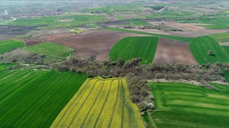 <p>Düzenlemeyle birlikte, iki yıl üst üste ekilmeyen tarım arazileri, Bakanlık tarafından tapu sahibinin rızasına gerek kalmaksızın üçüncül kişilere kiralanabilecek. </p>
