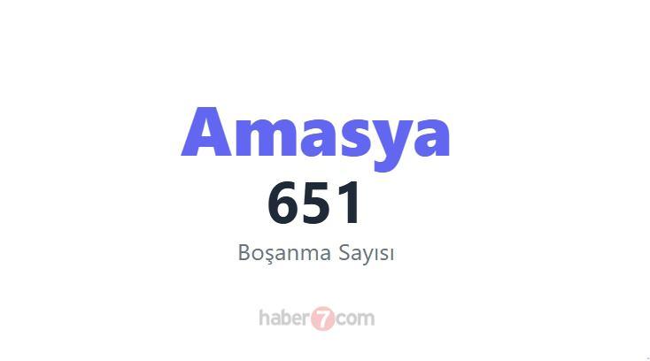 <p><span style="color:#B22222"><strong>55)  AMASYA</strong></span></p>
