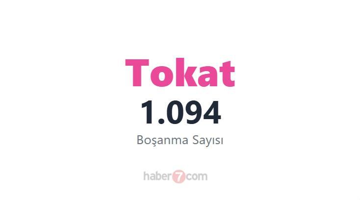 <p><span style="color:#B22222"><strong>35)  TOKAT</strong></span></p>
