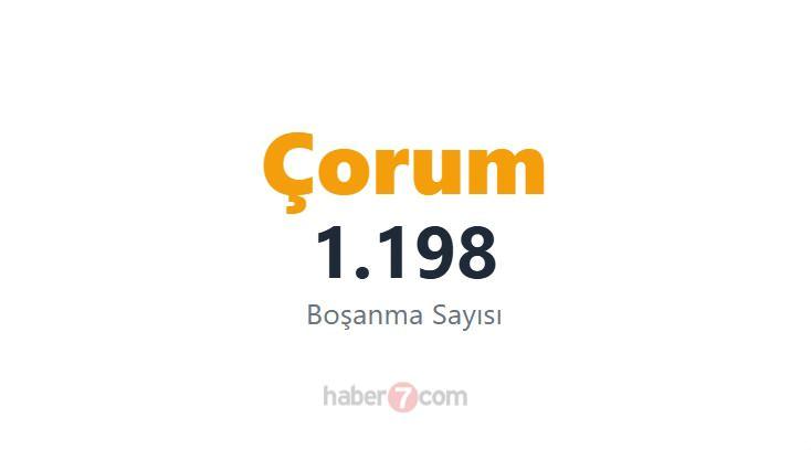 <p><span style="color:#B22222"><strong>31)  ÇORUM</strong></span></p>
