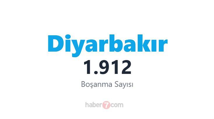 <p><span style="color:#B22222"><strong>25) DİYARBAKIR</strong></span></p>