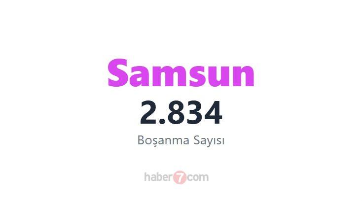 <p><span style="color:#B22222"><strong>20)  SAMSUN</strong></span></p>
