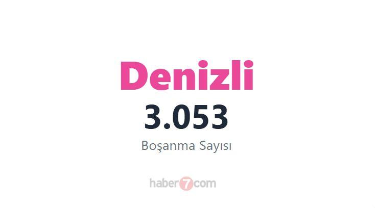 <p><span style="color:#B22222"><strong>19) DENİZLİ</strong></span></p>
