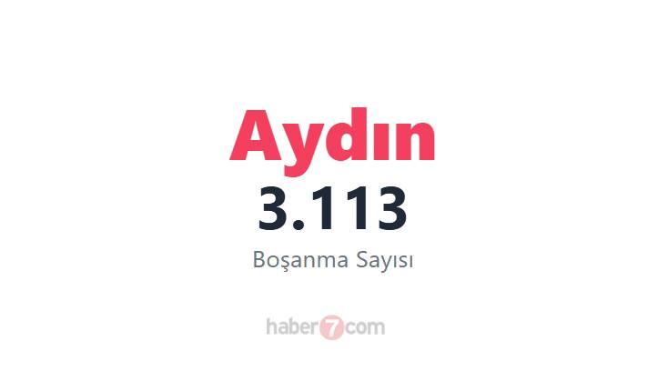 <p><span style="color:#B22222"><strong>18)  AYDIN</strong></span></p>
