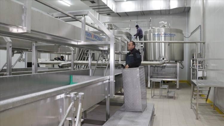<p><strong>AĞRI</strong></p>

<p>Asgari 500 büyükbaş kapasiteli entegre süt ve et ürünleri işleme tesisi kurulabilecek.</p>
