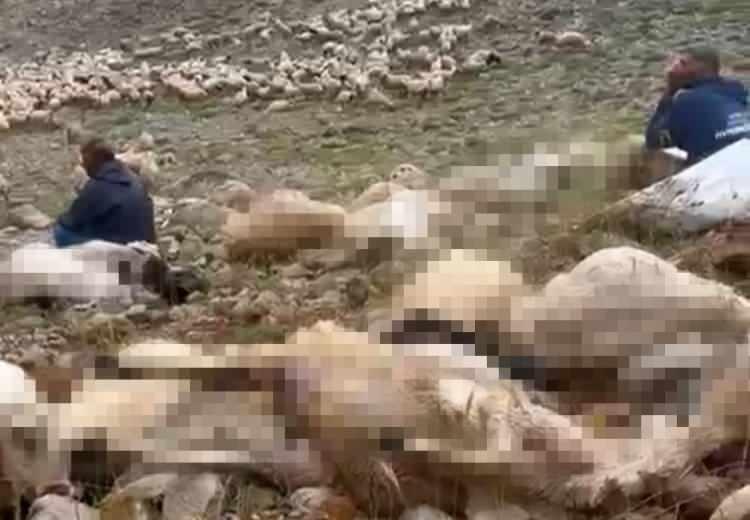 <p>Tunceli’nin Ovacık ilçesinde 2 bin 500 rakımlı yaylaya düşen yıldırım nedeniyle 200 küçükbaş telef oldu.</p>
<p> </p>