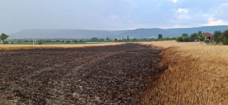 <p>Anızda başlayan yangın, fırtınanın etkisiyle büyüyerek, yan tarlada bulunan ekili buğday tarlasına sıçradı.</p>
