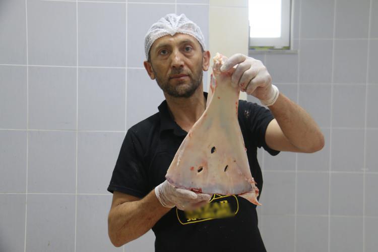 <p>Sivas'ta kasaplar, Selçukludan günümüze kadar devam eden gelenekle beraber küçükbaş hayvanlardan çıkan kol ve kürek kemiklerini büyücülerin büyü yapmasını engellemek amacıyla kemikleri kırarak imha ediyor.</p>
