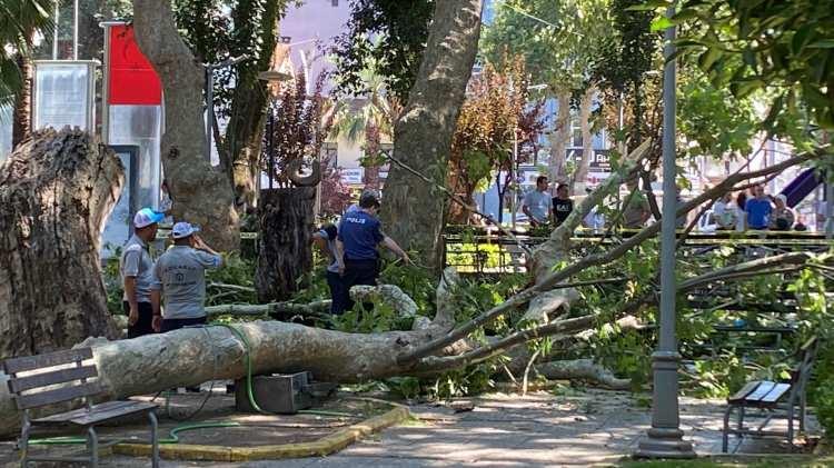 <p>Çevredekilerin ihbarı üzerine bölgeye itfaiye, polis, sağlık ve Gölcük Arama Kurtarma Ekibi (GESOTİM) sevk edildi. Ekiplerin çalışmasıyla dalın altından çıkarılan yaralılar, ilk müdahalelerinin ardından hastaneye kaldırıldı. </p>
