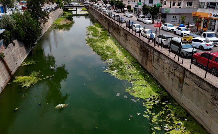 <p>İhlas Haber Ajansı'na konuşan Suat Sülü, "Burası çok kötü durumda. Adana'mızda böyle bereketli bir sulama kanalı var ancak hiç bakılmıyor. Buraya insanlar da çöp atıyor ama temizlik, yaptırım yok. Buralar korunmalı, hangi belediyenin sorumluluğunda ise belediye, eğer Devlet Su İşleri'nin sorumluluğunda ise onlar temizlemeli. Bizler sulama kanallarımızı insanlara Adana'nın Venedik'i olarak tanıtıyoruz ancak buralar Hindistan'daki meşhur Ganj Nehri'ne döndü. Gerçi Ganj Nehri'nde en azından Hindistanlılar ölü yıkıyor, bir amaca hizmet ediyor. Burada o bile yapılmaz" dedi.</p>
<p> </p>