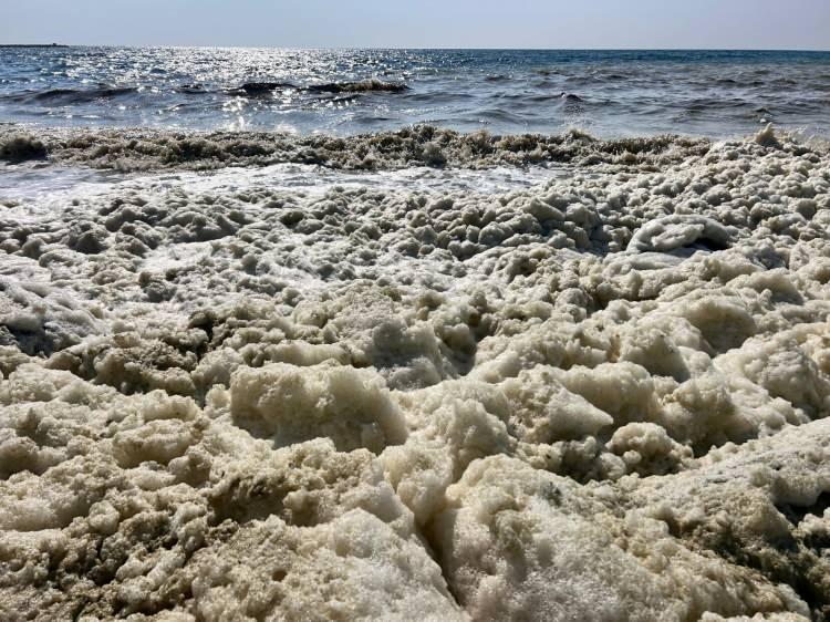 <p>Vatandaşlar bu durumdan tedirgin olurken, ihbarlar üzerine İSTE Deniz Bilimleri ve Teknolojisi Fakültesi'nden bilim insanları çevreden numuneler alıp laboratuvarlarda incelemeler yaptı. </p>