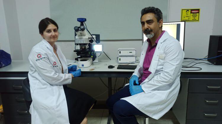 <p>Yücel konuya ilişkin yaptığı açıklamada şunları söyledi: </p>
<p> </p>
<p><strong>"Denizel ortamda yaşayan mikroskobik bitkisel planktonların sayısının kısa sürede çok yüksek seviyelere ulaşması sonucu bu tabakalar oluşmaktadır. Şu an gözlemlediğimiz görüntü, bu doğal sürecin bir sonucudur. Fitoplanktonlar, karasal bitkiler gibi fotosentez yaparak oksijen üretiyor ve atmosferdeki karbondioksitin büyük bir kısmını absorbe ediyor. <span style="color:#A52A2A">Ancak çevresel koşulların uygun hale gelmesi, özellikle sıcaklık artışı ve besin elementlerinin yoğunluğu bu organizmaların birkaç gün içinde hızlıca çoğalmasına neden olabiliyor. </span>Son günlerde deniz suyu sıcaklığı 2 derece arttı. Bu organizmalar öldükten sonra su yüzeyine çıkan ölü hücreler, rüzgar ve dalgaların etkisiyle kıyılarda birikiyor. Kahverengi tabaka bu ölü hücrelerden oluşurken, köpüklenme ise hücrelerin içeriğindeki yağ, protein ve şeker gibi organik maddelerin su ile etkileşime girmesi sonucu oluşuyor. Bu nedenle müsilaj ile karıştırılmamalı. Bu fitoplankton türleri toksik değil, zehirli madde içermiyor. Bu nedenle halk sağlığını tehdit eden bir durum değil. Her ne kadar görsel olarak yüzmek için uygun olmasa da bu olayın kısa sürede kendiliğinden sona ermesi beklenmektedir. Dışarıdan herhangi bir temizlik müdahalesine gerek yoktur."</strong></p>