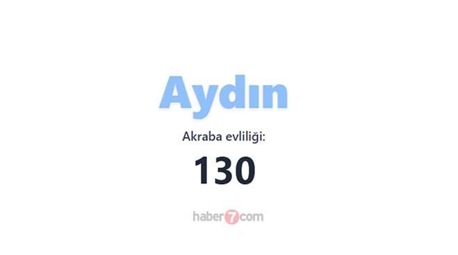 <p><span style="color:#B22222"><strong>31)  AYDIN</strong></span></p>
