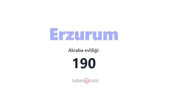 <p><span style="color:#B22222"><strong>25) ERZURUM</strong></span></p>
