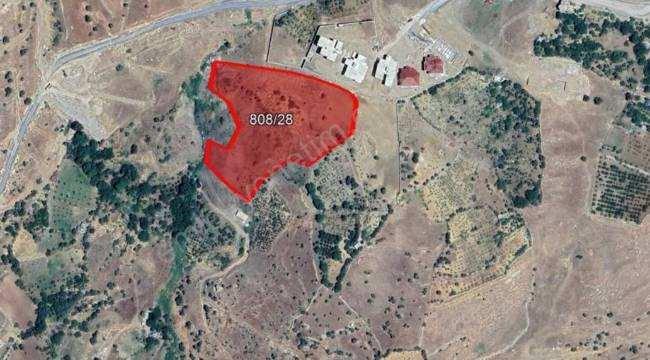 <p><strong><span style="color:#B22222">9) ŞIRNAK MERKEZ BAHÇELİEVLER'DE 11.756,61 M² PLANSIZ ALAN</span></strong></p>

<p> </p>

<p><strong>MUHAMMEN BEDEL: </strong> ₺11.800.000,00</p>
