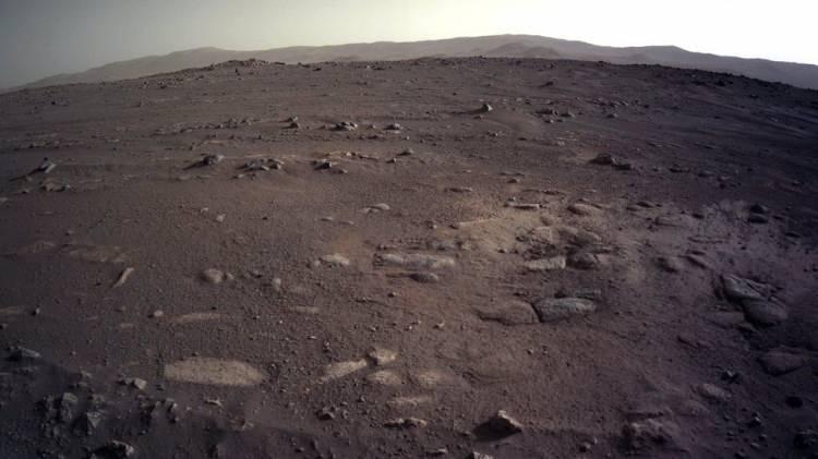 <p>MARS’TAN DÜNYA’YA GELEN TEHLİKELİ HASTALIK</p>

<p><br />
Discovery on Vera Rubin Ridge ve Trace Fossils on Mars kitaplarının yazarı olan DiGregorio, verdiği demeçte “Mars’tan getirilecek örneklerin bir pandemiye yol açabileceğine inanıyorum. Gilbert Levin, Viking misyonları sırasında Mars’ta yaşam buldu. Mars’taki çevresel koşullar, Dünya’dakinden o kadar farklı ki oradaki yaşam formları bizim bildiğimiz her şeyden tamamen farklı olabilir,” ifadelerini kullandı.</p>
