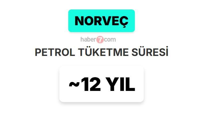 <p><span style="color:#B22222"><strong>11) NORVEÇ</strong></span></p>