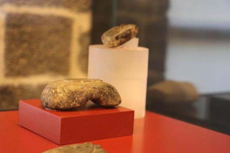 <p>Bismil ilçesinde Dicle Nehri kıyısındaki Körtiktepe kazılarında bulunan ve Akeramik Neolitik Dönem’e tarihlenen ‘Ritüel Taş Plaka’, 12 bin 500 yıllık geçmişiyle Diyarbakır Müzesi’nde sergileniyor. </p>