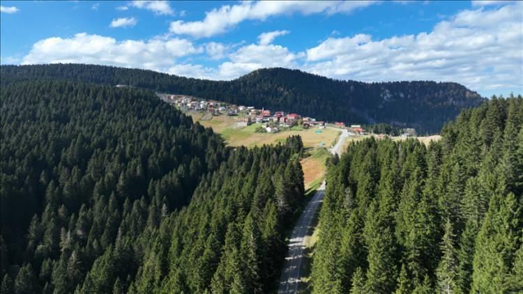 <p>66-GİRESUN</p>
<p>157.272</p>