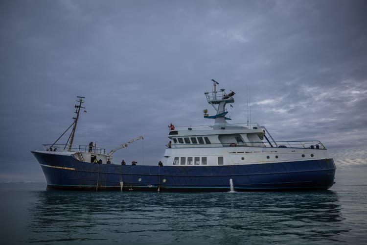 <p>G&uuml;zergah boyunca yapılan &ouml;l&ccedil;&uuml;mlerle elde edilen verilerin, Arktik b&ouml;lgesinde iklim değişikliği, insan kaynaklı etkiler ve ekosistem dinamikleri &uuml;zerindeki sonu&ccedil;ları bilim d&uuml;nyasına sunulacak.</p>

<p>&nbsp;</p>

