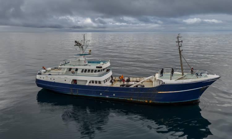 <p>Svalbard Adası ve &ccedil;evresinde 70 &ouml;rnekleme noktasında, iletkenlik, sıcaklık ve derinlik (CTD) profilleri, su ve sediment &ouml;rnekleri, mikroplastik analizleri ile tuzluluk-sıcaklık dağılımlarına ilişkin veriler toplandı.</p>
