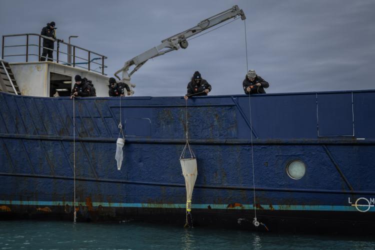 <p>Sefere katılan &ouml;ğrenciler; kutup k&uuml;lt&uuml;r&uuml;ne sanat yoluyla bakış, doğal malzemelerden biyo-eko ambalaj &uuml;retimi ve yapay zeka destekli hava kalitesi &ouml;l&ccedil;&uuml;m&uuml; gibi projelerle iklim ve &ccedil;evre odaklı yenilik&ccedil;i &ccedil;alışmalar ger&ccedil;ekleştirdi. &Ouml;ğrencilerin projeleri, bilimsel &ccedil;eşitliliğin ve gen&ccedil; katılımın sahadaki &ouml;nemini vurguluyor.</p>

<p>&nbsp;</p>
