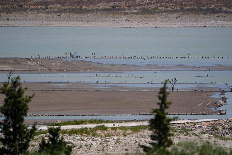 <p>Bölgede azalan yağışlar ve yaz döneminde artan su tüketimi, Çeşme'nin su ihtiyacını karşılayan ana kaynaklarından biri olan Alaçatı Kutlu Aktaş Barajı'ndaki su seviyesinin ciddi oranda gerilemesine neden oldu.</p>