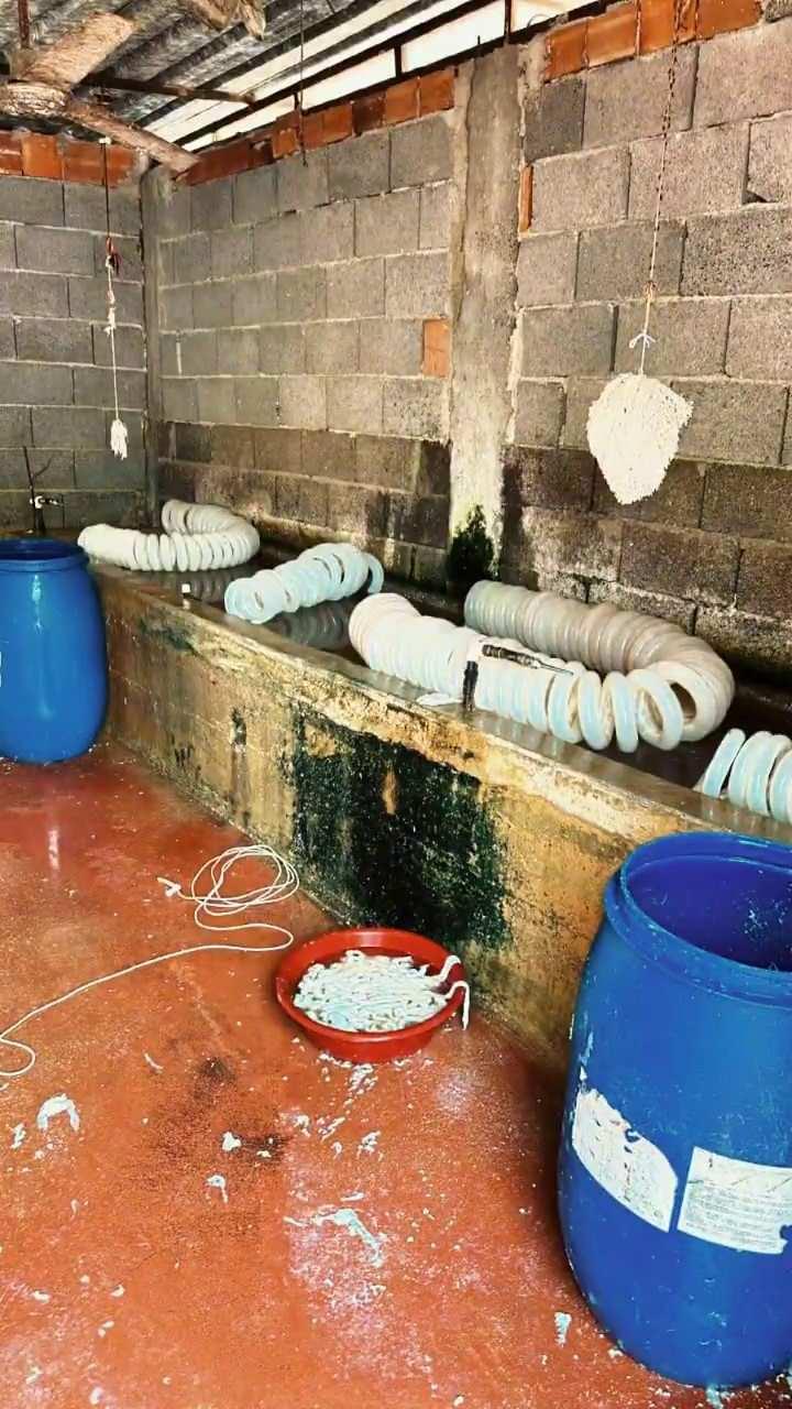 <p>Adana'daki bir işletmedeki görüntüler mide bulandırdı. </p>
