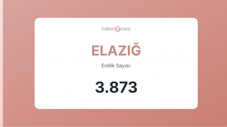 <p><span style="color:#B22222"><strong>36)  ELAZIĞ</strong></span></p>
