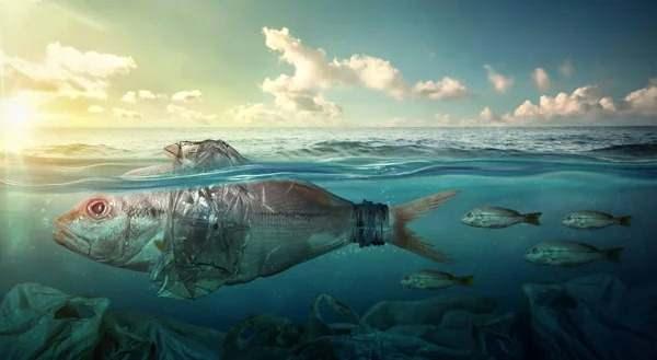 <p>Muson rüzgarlarının yön değiştirmesiyle okyanus akıntıları büyük miktarda plastik atığı sahile taşıyor, plajlar çöp yığınlarıyla kaplanıyor.</p>
