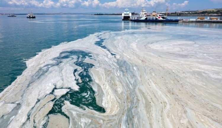 <p>İngiltere’nin kuzeydoğusunda ise martı türü deniz kuşları, artık her yıl aynı zamanda yuvalanmak için geri dönmüyor. Bu durum, nesillerdir bu döngüye güvenen topluluklar için büyük bir değişim anlamına geliyor.</p>
