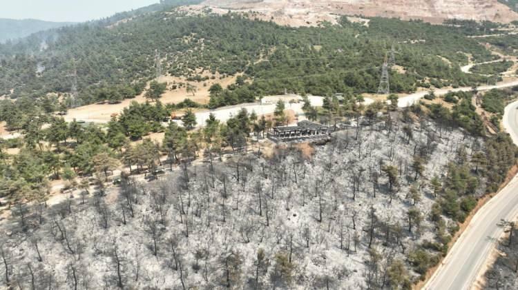 <div>Katırlı Dağı’nın eteklerinin kapkara olduğu ve tüm güzel yeşil alanların küle döndüğü görüldü.</div>
<div> </div>