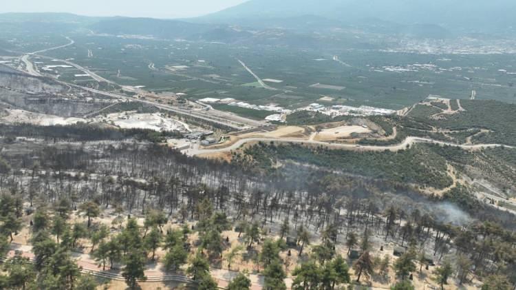 <div>Dron ile görüntülenen yemyeşil ormanlık alının küle dönmüş son hali herkesi duygulandırdı.</div>
<div> </div>